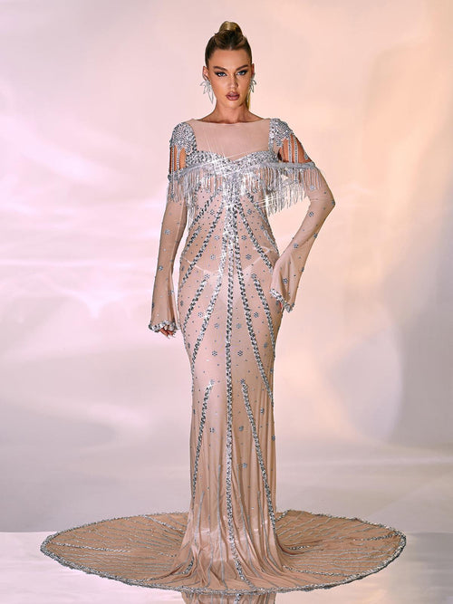 Reagan Long Sleeve Sequin Mesh Maxi Dress