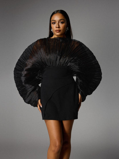 Alberta Balloon Sleeve Mesh Mini Dress
