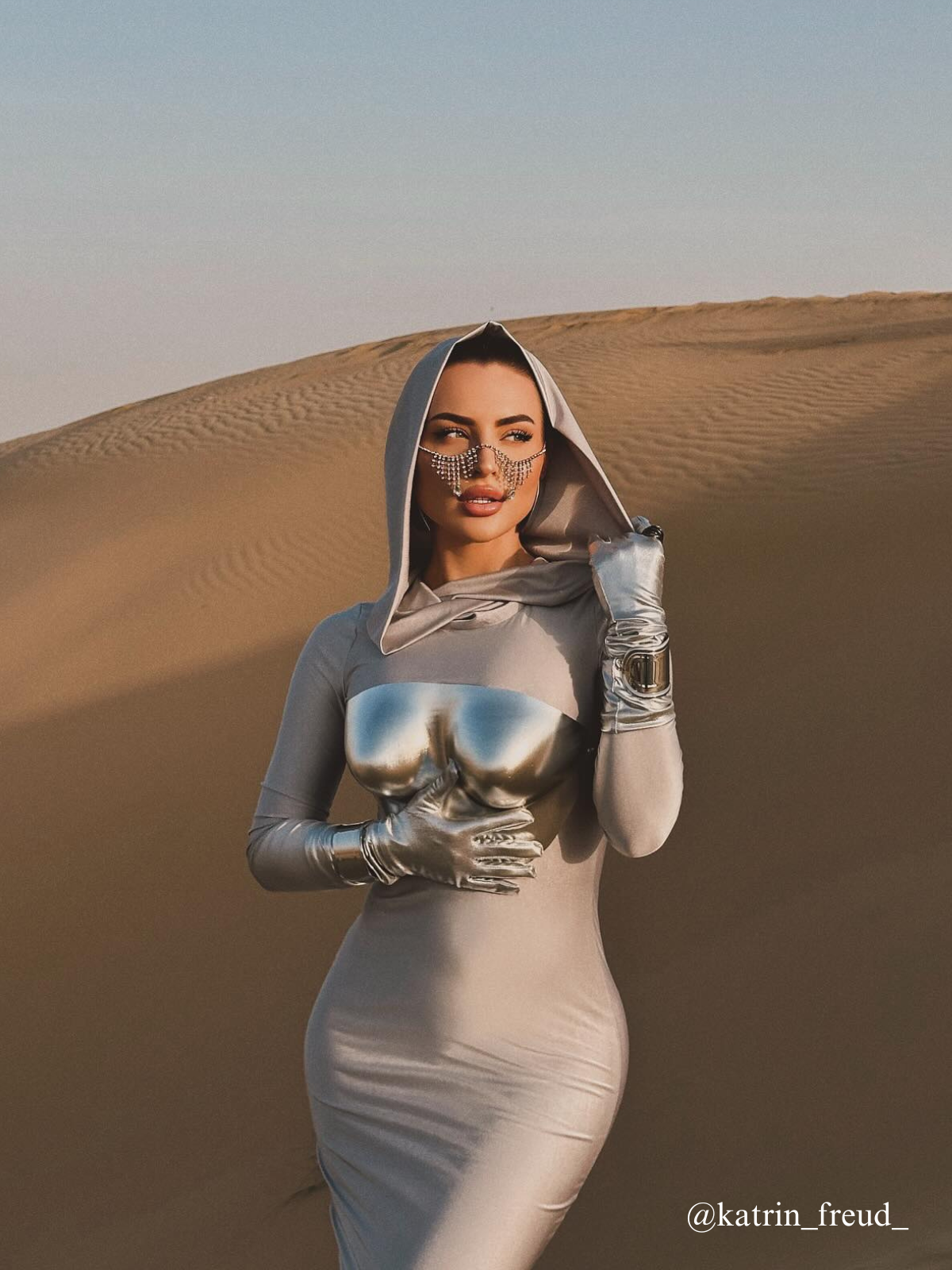 Apollo Armor Top In Bright Silver