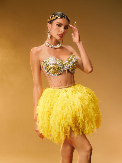 Dakan Strapless Corset Tulle Skirt Set