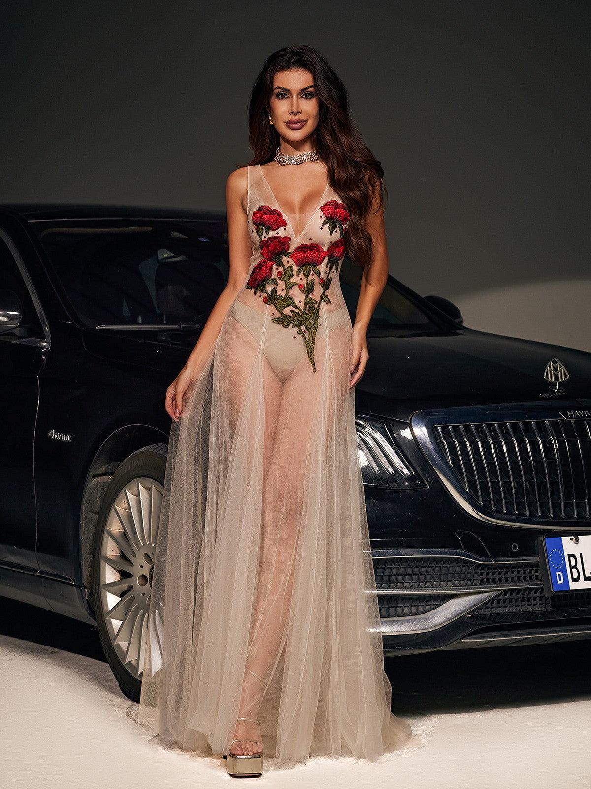 Kateri V Neck Flower Embroidered Mesh Dress