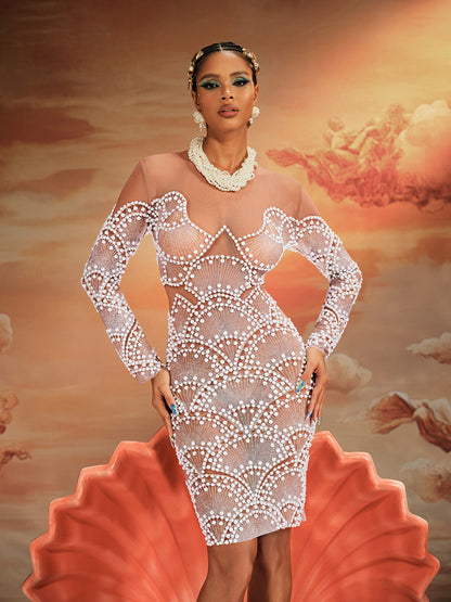 Theobald Long Sleeve Pearl Mesh Mini Dress